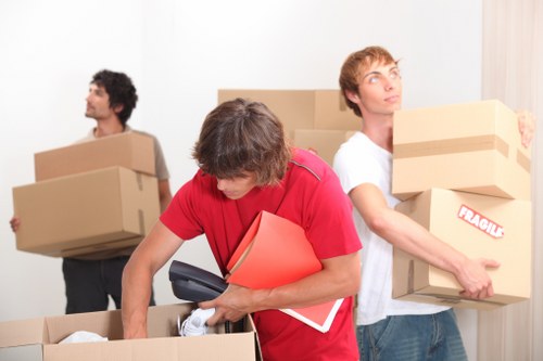 Man With Van Brentpark moving service introduction with careful item handling