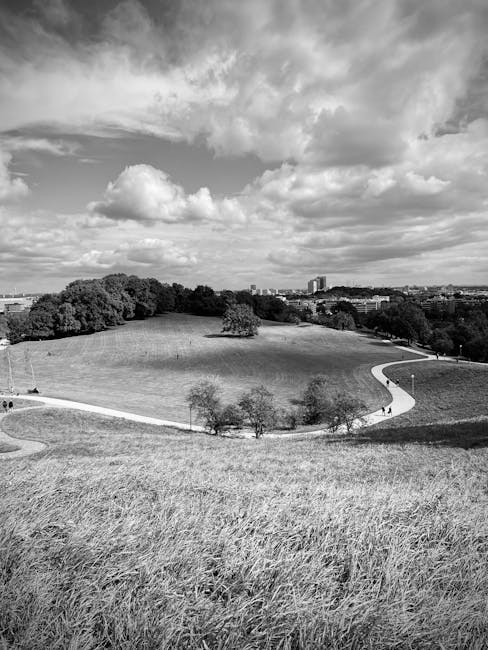 A black and white photograph showing an expansive park with a gently sloping grassy field in the foreground, dotted with small trees and walking paths that wind through the area. In the middle distance, there is a clustered group of larger trees forming a canopy, with more trees lining the horizon. The sky above features scattered clouds, casting soft shadows across the landscape. This scene is captured from an elevated viewpoint, possibly a hill, overlooking the park and part of a nearby urban skyline in the background. The image emphasizes open green space suitable for outdoor activities, and the presence of pathways indicates areas for walking or moving through the park, reflecting a peaceful environment. The photograph likely relates to house removals or relocation services, such as those offered by Man with Van Brent Park, highlighting the importance of planning in home relocation and furniture transport within scenic outdoor settings.