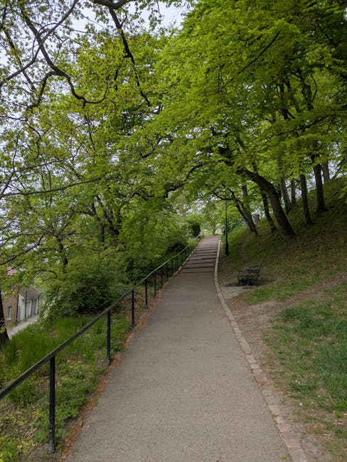A narrow paved pathway ascending a slight incline in a green park area with a black metal railing on the left side. The path is bordered by grass and a variety of trees with bright green foliage, providing partial shade. On the right side, there is a wooden bench positioned on the grassy slope beneath the trees. The scene is outdoors during daylight, with natural light filtering through the leaves. The pathway appears to be part of a residential or urban park setting, potentially used for local walks or exercise, and is unoccupied at the moment. This setting is typical of areas where house removals or moving preparations, such as packing and furniture transport, might be conducted in close proximity to residential properties, aligning with the services provided by Man with Van Brent Park.