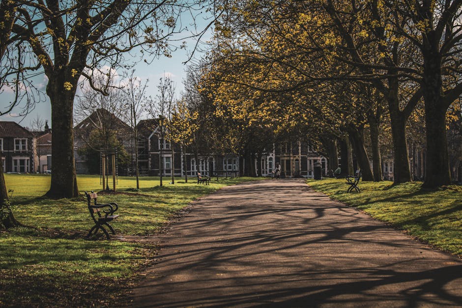 A paved pathway in a residential area during daytime, lined with mature trees casting shadows on the ground. To the left, there is a black metal park bench, and additional benches are visible along the pathway on both sides. In the background, large multi-story houses with brick facades, bay windows, and pitched roofs are partially obscured by the trees. The area appears quiet and well-maintained, with a grassy verge alongside the pathway and some newly planted trees supported by wooden stakes. The scene is illuminated by sunlight filtering through the branches, creating a pattern of light and shadow. This setting could serve as a suburban park or green space frequently used during home relocations for temporary staging or as a visual reference in moving services documentation, such as those provided by Man with Van Brent Park, especially when discussing parking permits for street removals associated with property moves in the Brent Council area.