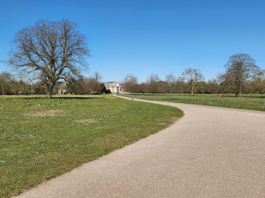 A wide pathway in a park setting with green grass on either side, leading towards a distant grand building. Several large, leafless trees are visible on the grassy areas, with the sky clear and bright blue overhead. The scene appears calm and spacious, typical of outdoor environments used for leisurely walks. This outdoor image could relate to the initial stages of home relocation or outdoor packing preparations for a move, although no specific moving activity or objects are visible in the photograph. Man with Van Brent Park, a professional removals service, might use such imagery to illustrate the journey from outdoor areas to the residence during a furniture transport or packing and moving process.